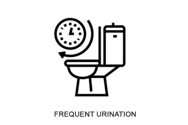 Read more about the article What Is Frequent Urination?