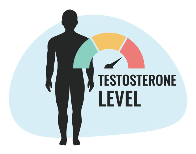 Signs of high testosterone in a man