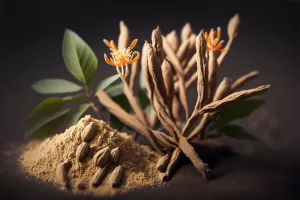 Read more about the article Does Ashwagandha Raise Testosterone Levels